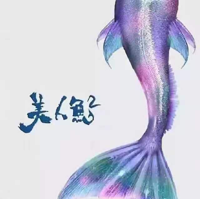 如何破解“西瓜视频的展现量受限制”困境？提升视频曝光的五大实用策略