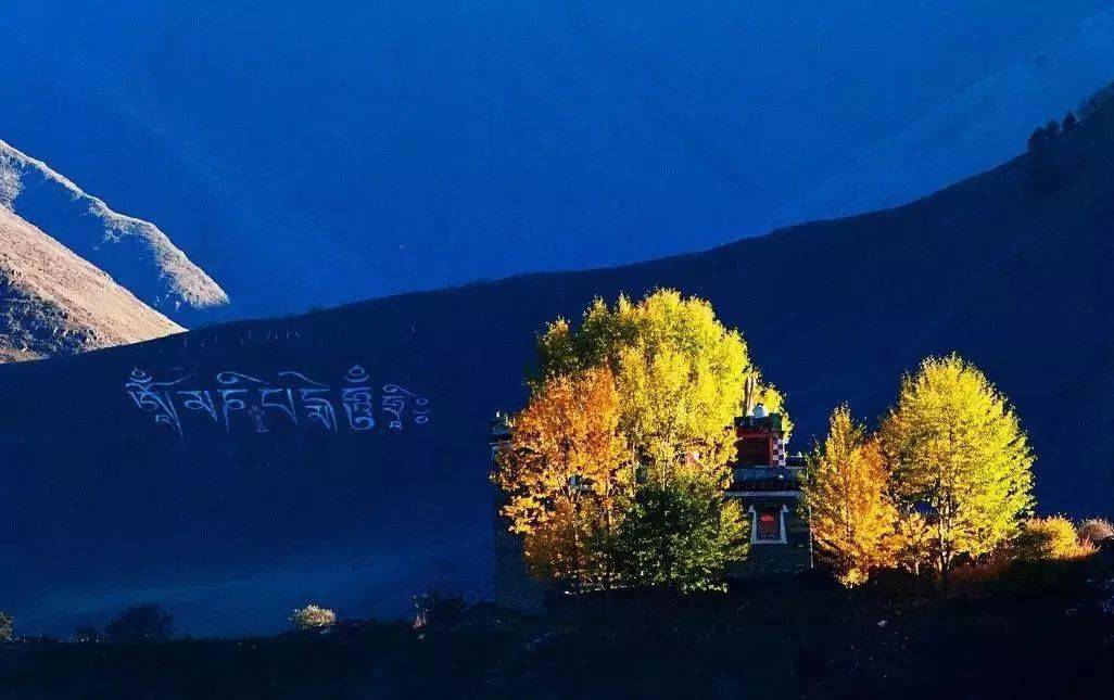 白茶阅读：一杯清茶，一次心灵的旅程